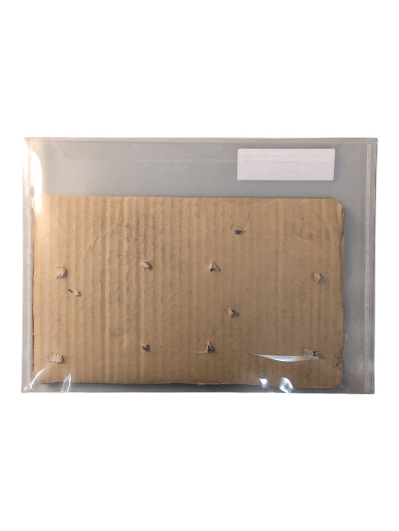 Pair of Ford Crestline Fender Script Emblem Name Plate 1951