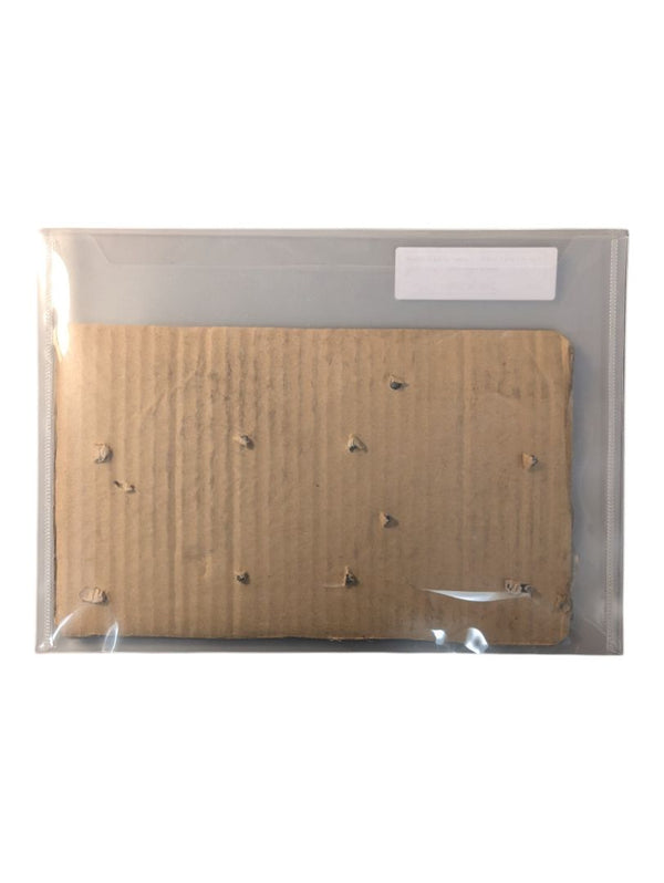 Pair of Ford Crestline Fender Script Emblem Name Plate 1951