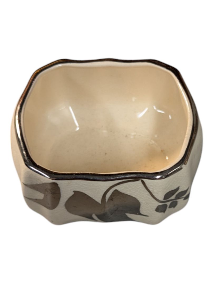 Platinum Lustre Leaves Tea Service Set