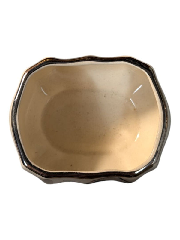 Platinum Lustre Leaves Tea Service Set