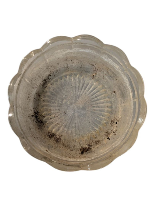 Small Glass Bowl with Scalloped Edge