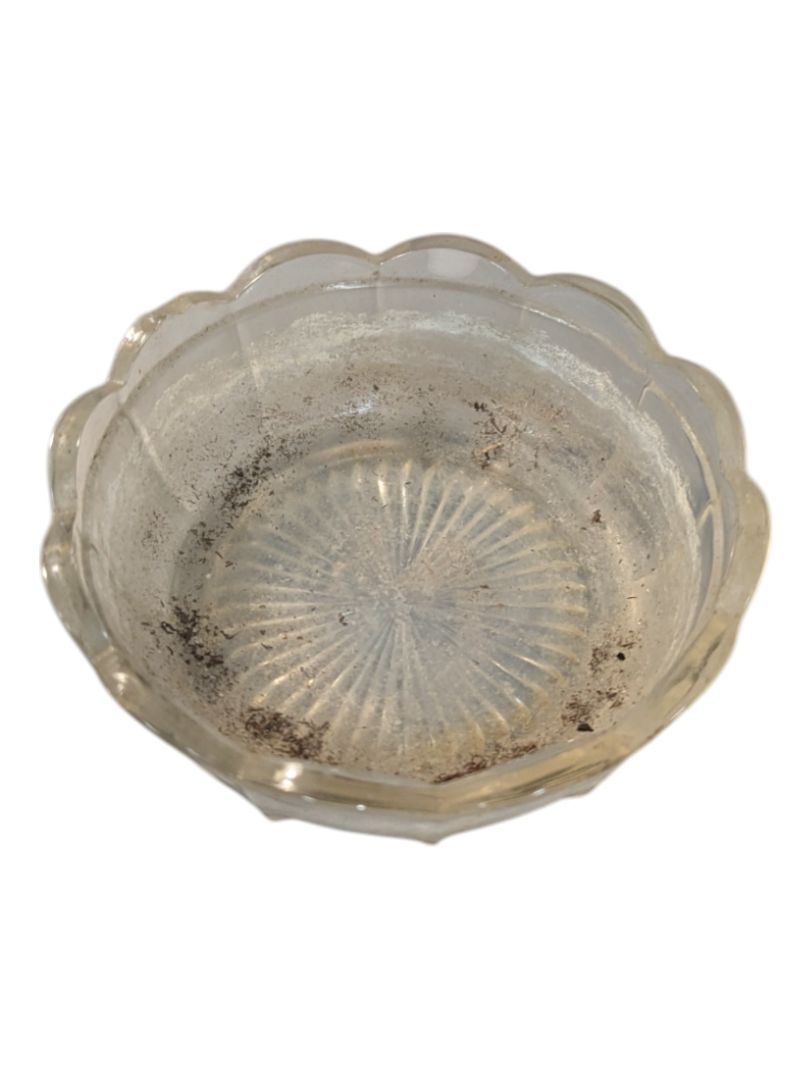 Small Glass Bowl with Scalloped Edge