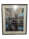 "Birch Trees, Elk Island Park, Alberta" 20" x 24" (P)