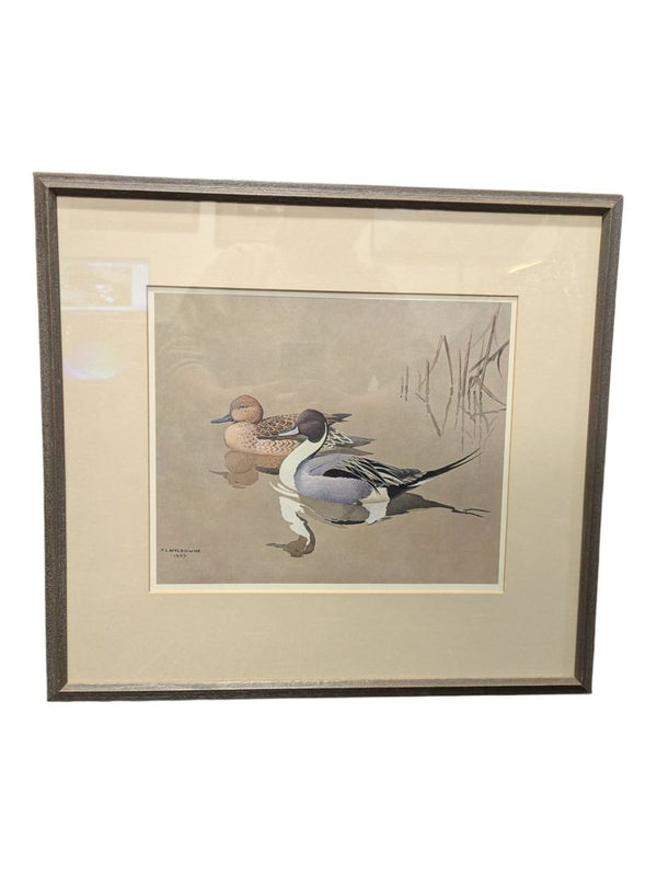 Painting of a Pair of Pintail Ducks 20" x 18 1/2" (P)