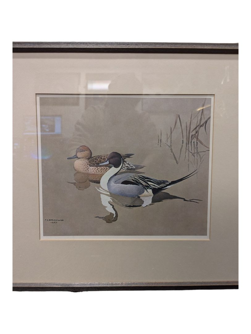 Painting of a Pair of Pintail Ducks 20