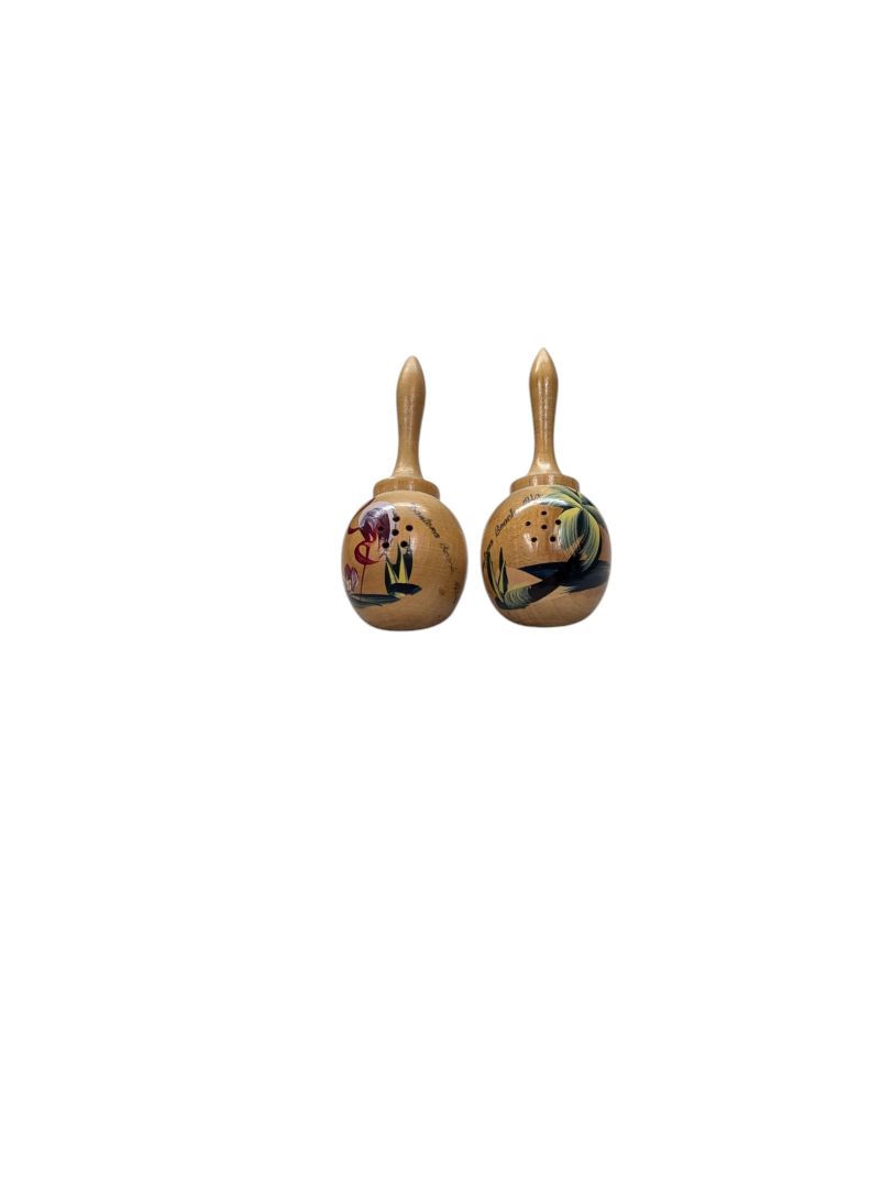 Maraca salt and pepper shakers