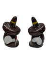 Cactus/sombrero salt and pepper shakers
