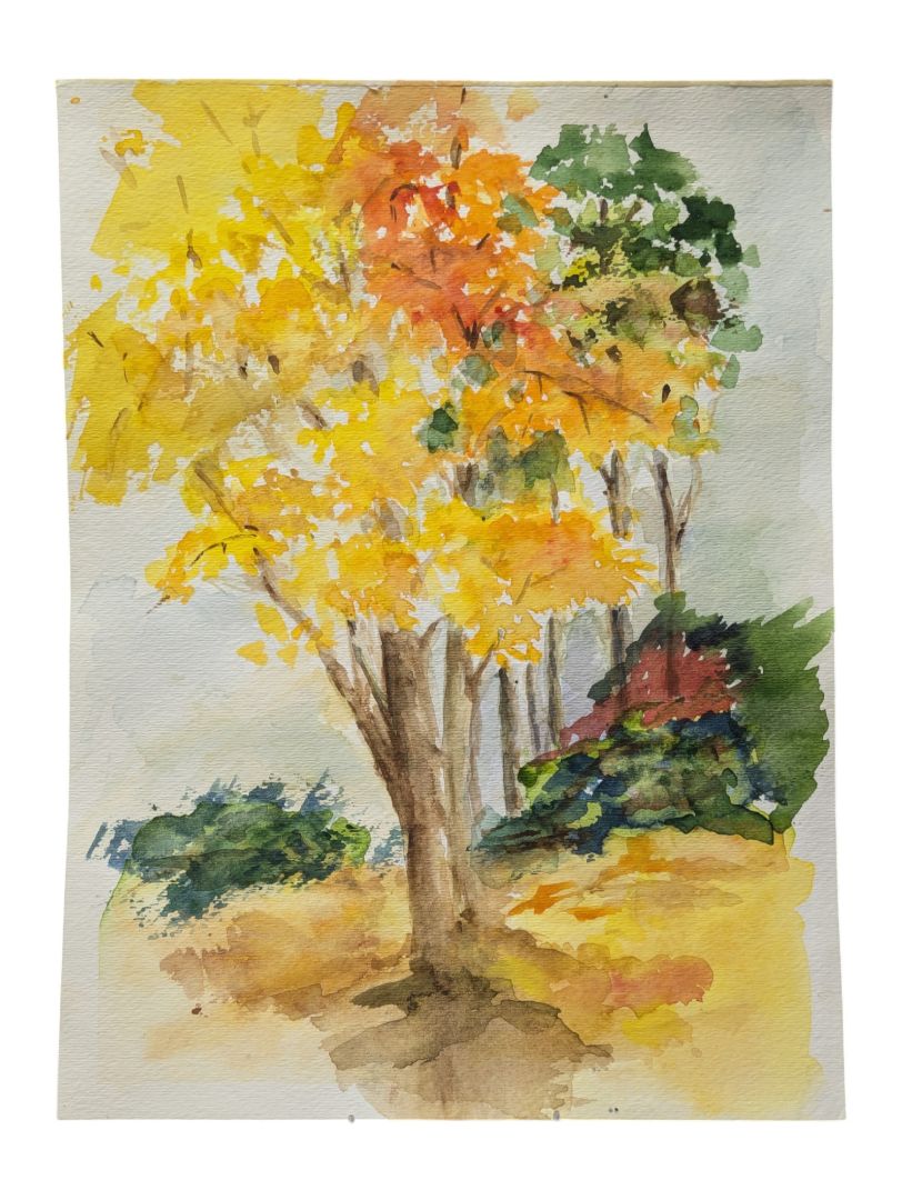 Watercolour Painting of an Autumn Forest 9