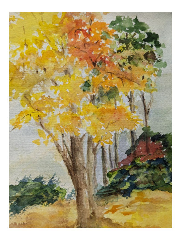 Watercolour Painting of an Autumn Forest 9" x  12" (P)