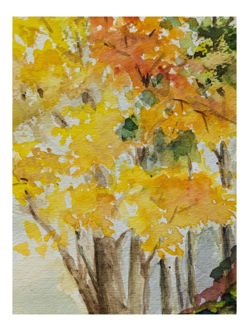 Watercolour Painting of an Autumn Forest 9