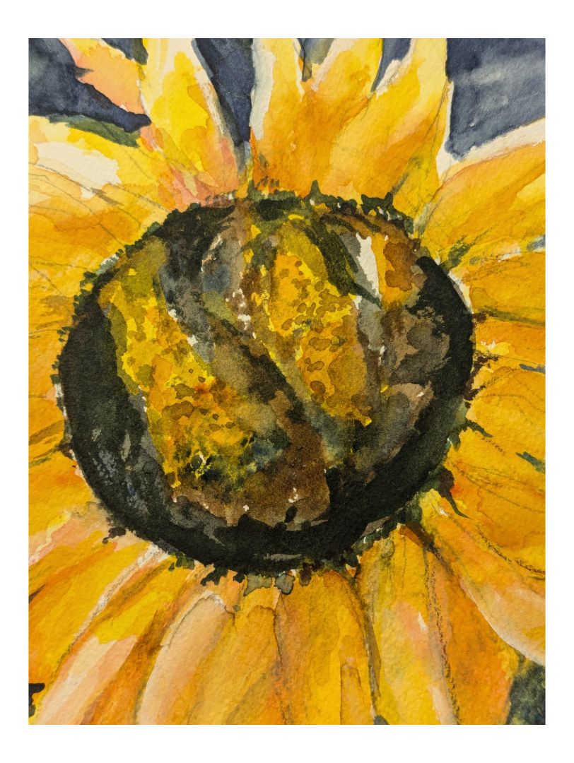 Watercolour Painting of Sunflower Field 12