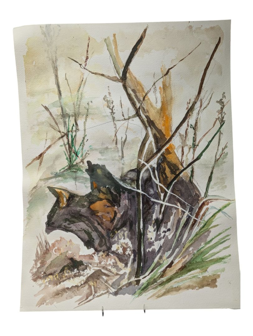 Watercolour Painting of Aging and Forests 12