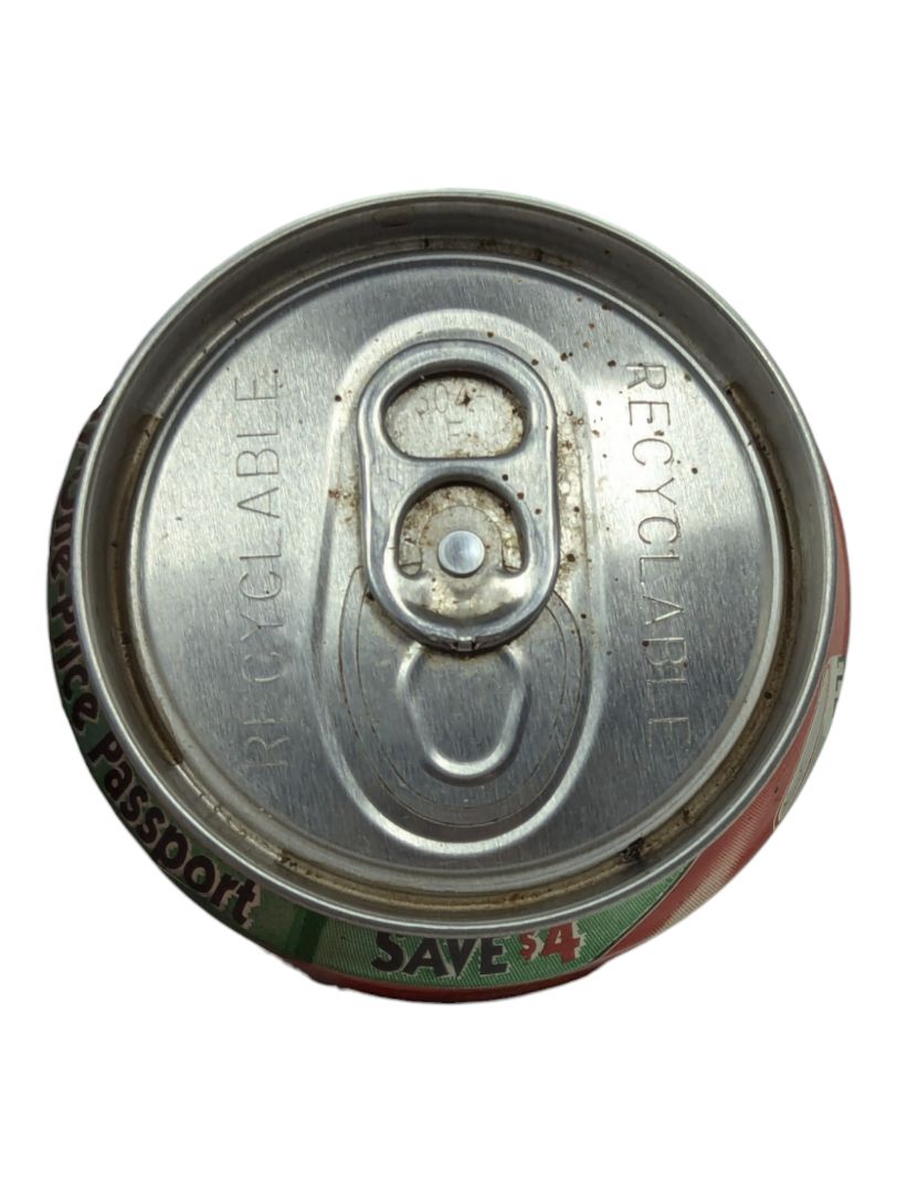 Always Delicious Coca-Cola Can Wonderland