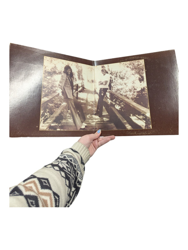 Carpenters The Singles LP