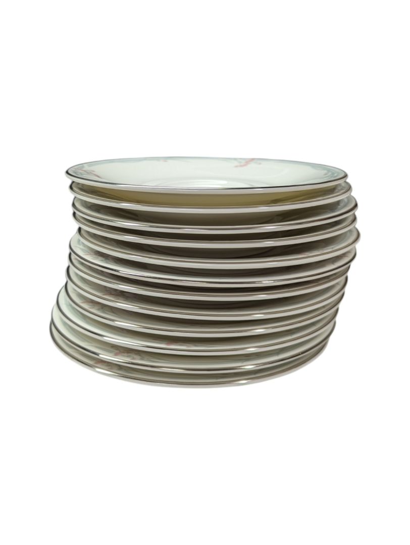 Royal Doulton Carnation Plate and Cup Set (60 pieces)