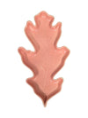 Leave Shape Pottery Plate