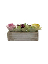 Royal Adderley Fine Bone China Window Flower Box