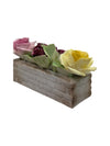 Royal Adderley Fine Bone China Window Flower Box