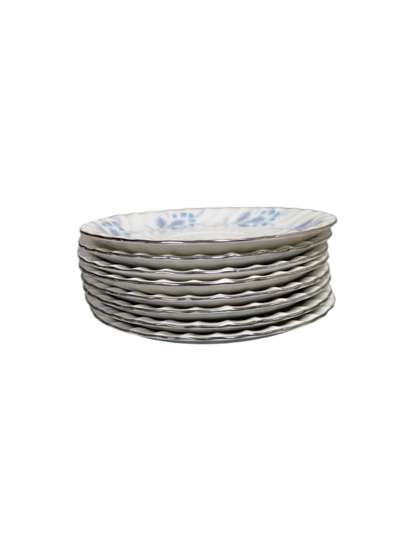 Aynsley Bone China Sliver Lined Dining Set (53 pieces)