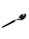 Stainless Spoon