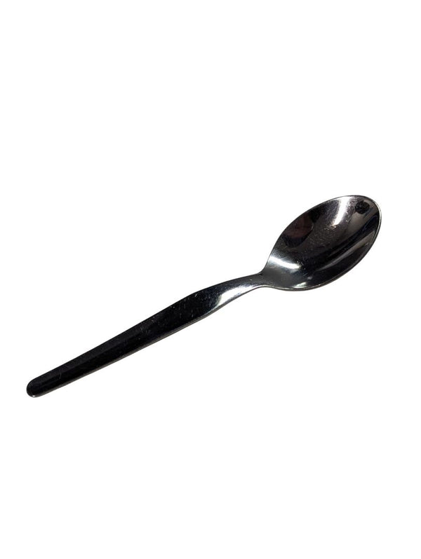 Stainless Spoon