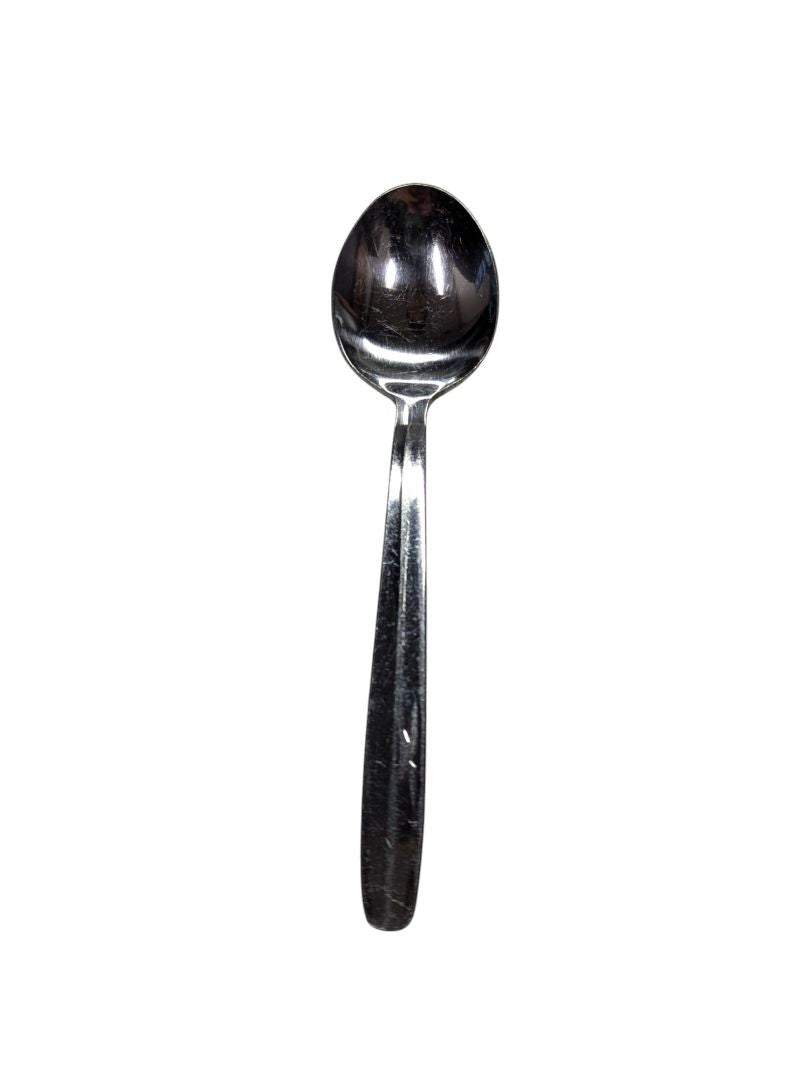 Stainless Spoon