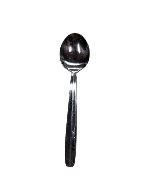 Stainless Spoon