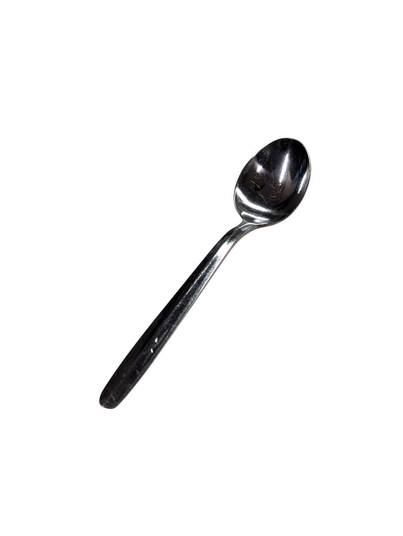 Stainless Spoon