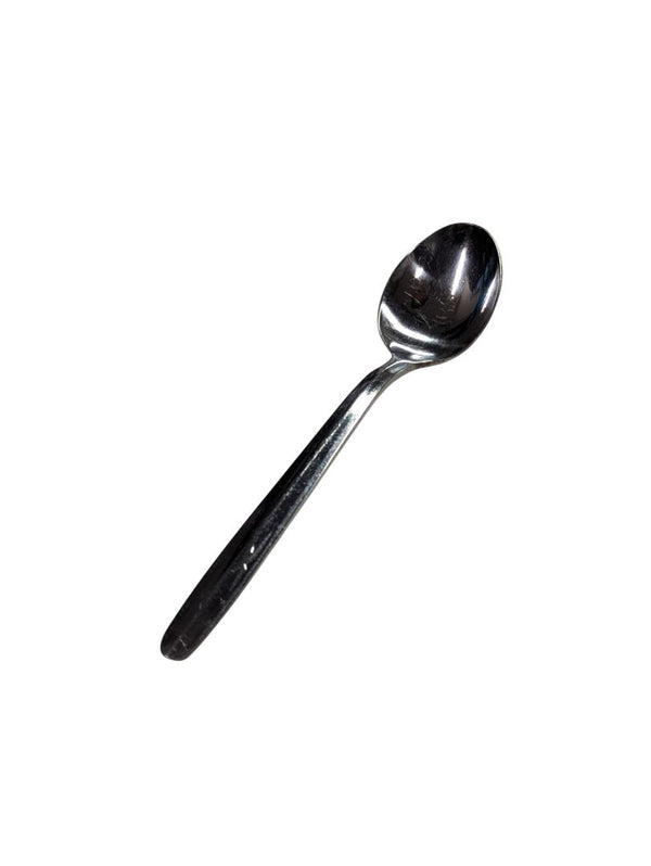 Stainless Spoon