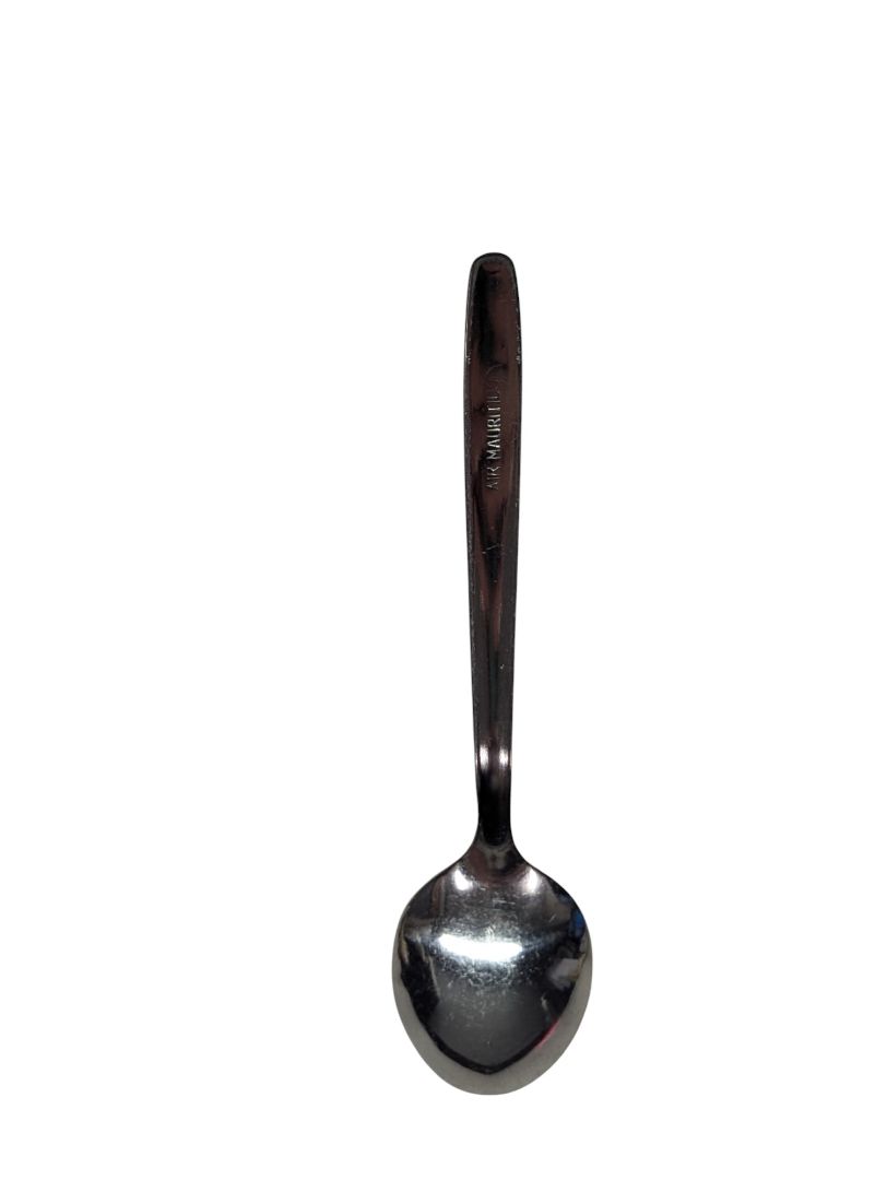 Stainless Spoon