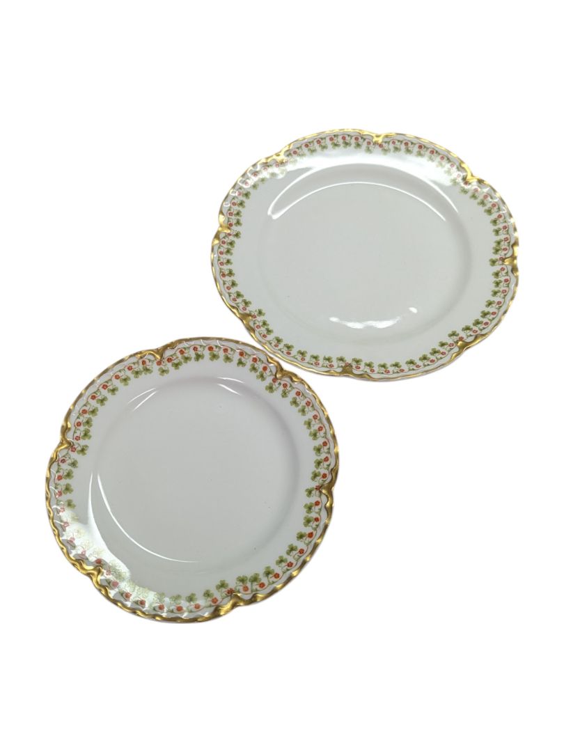 Haviland Golden Rim Porcelain Plates Set (2 pcs)