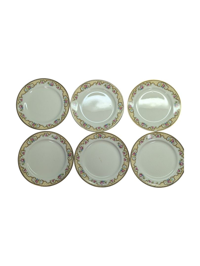 WH Grindley and Co Flower Rim Plate Set (6 pcs)