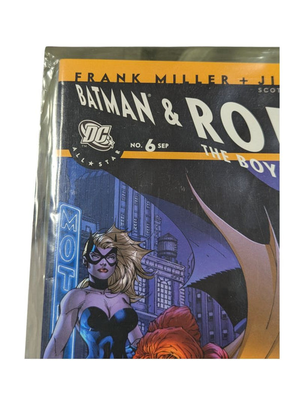 Batman and Robbin #6