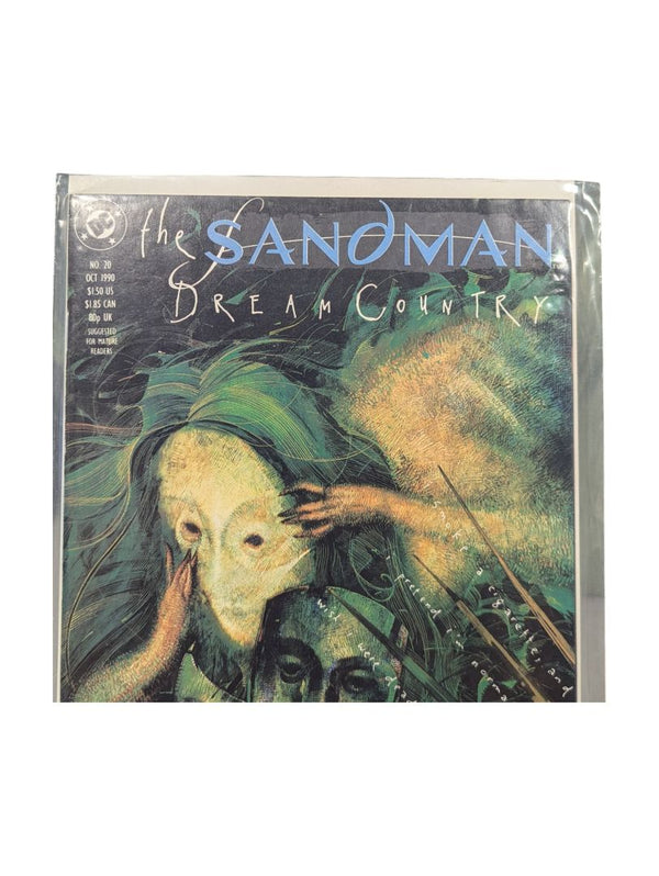 Sandman #20