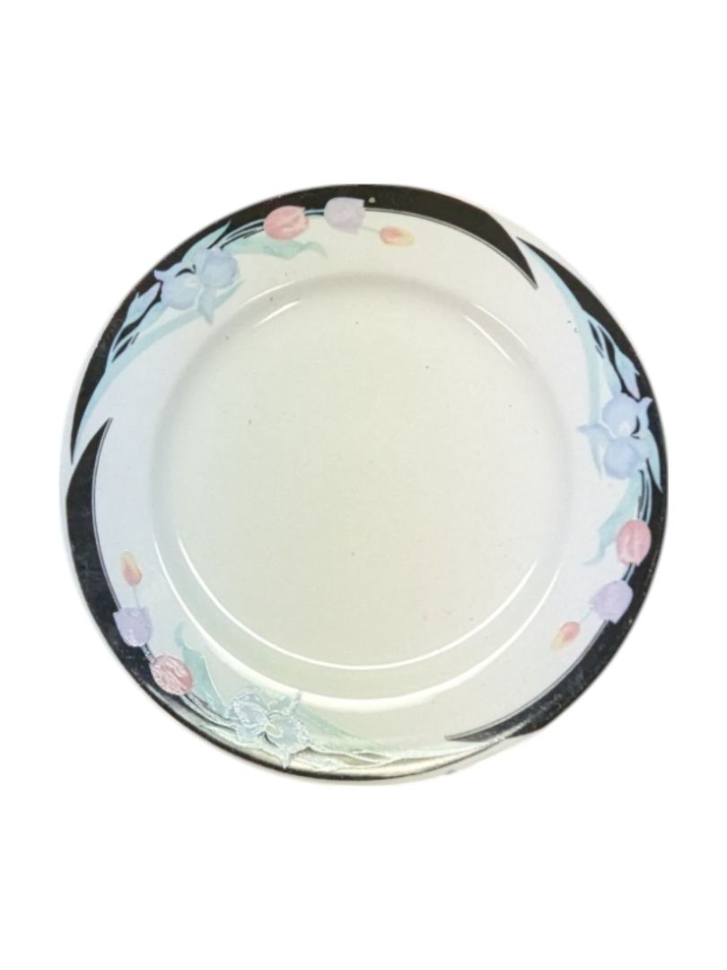 Caravel by Excel 7-Piece Floral Glass Plate Set
