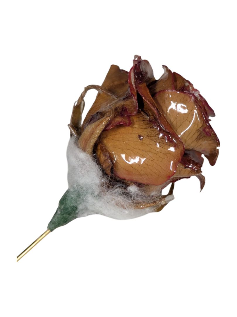 Vintage 1979 Chrystalle Flower Co Real Rose Floral Stickpin Brooch Pin