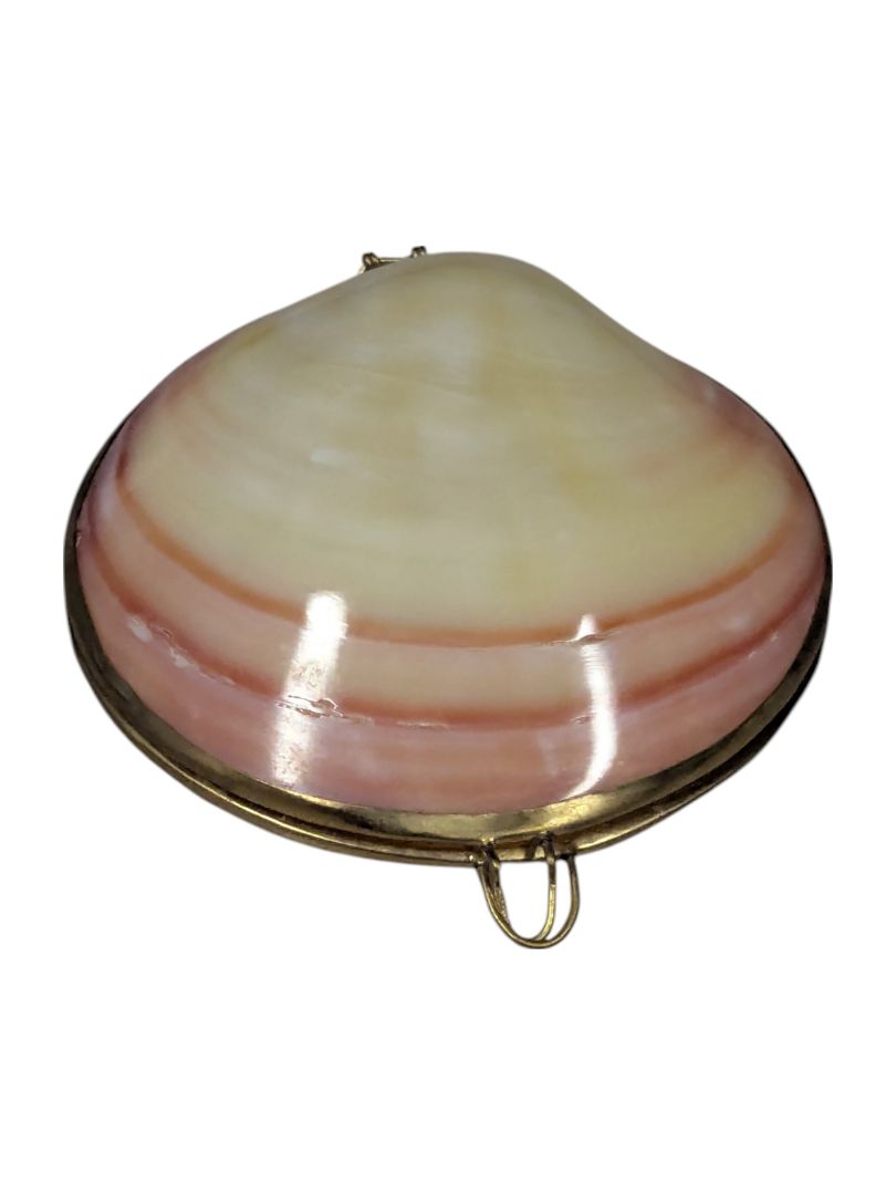 Vintage 1950's Polished Clam Shell Compact