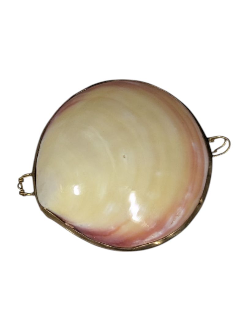 Vintage 1950's Polished Clam Shell Compact