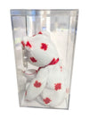Ty Beanie Teddy Canada Exclusive 2000 Edition