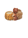 Hornsea Pottery Fauna Royal Squirrel Figurine