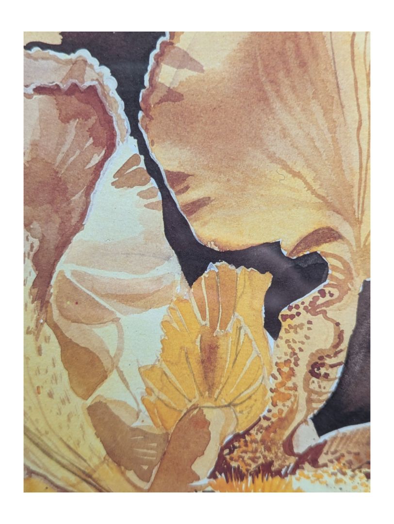 Framed Mary Dawn Robert Iris Painting Signed Print