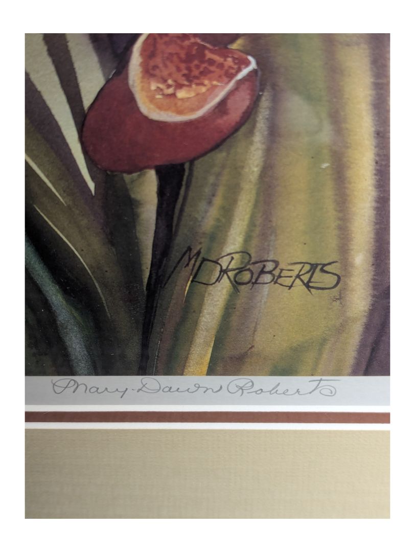 Framed Mary Dawn Robert Iris Painting Signed Print