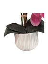 Faux Flower Phalaenopsis Orchid in Pot