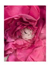 Faux Flower Peony Bundle in Pot