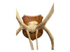 Mounted Caribou Antlers on Wooden Plaque