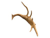 Mounted Caribou Antlers on Wooden Plaque