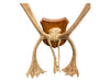 Mounted Caribou Antlers on Wooden Plaque