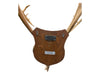 Mounted Caribou Antlers on Wooden Plaque
