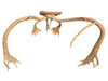 Mounted Caribou Antlers on Wooden Plaque