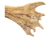 Mounted Caribou Antlers on Wooden Plaque